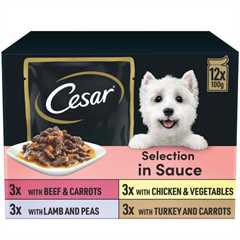 CESAR Deliciously Fresh Favourites Adult Wet Dog Food in Sauce